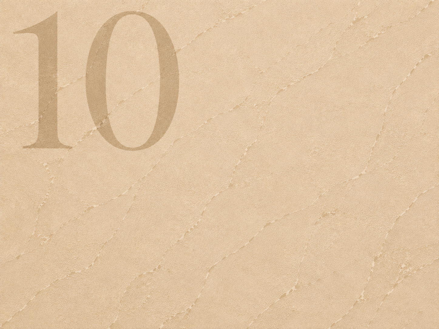 10 10